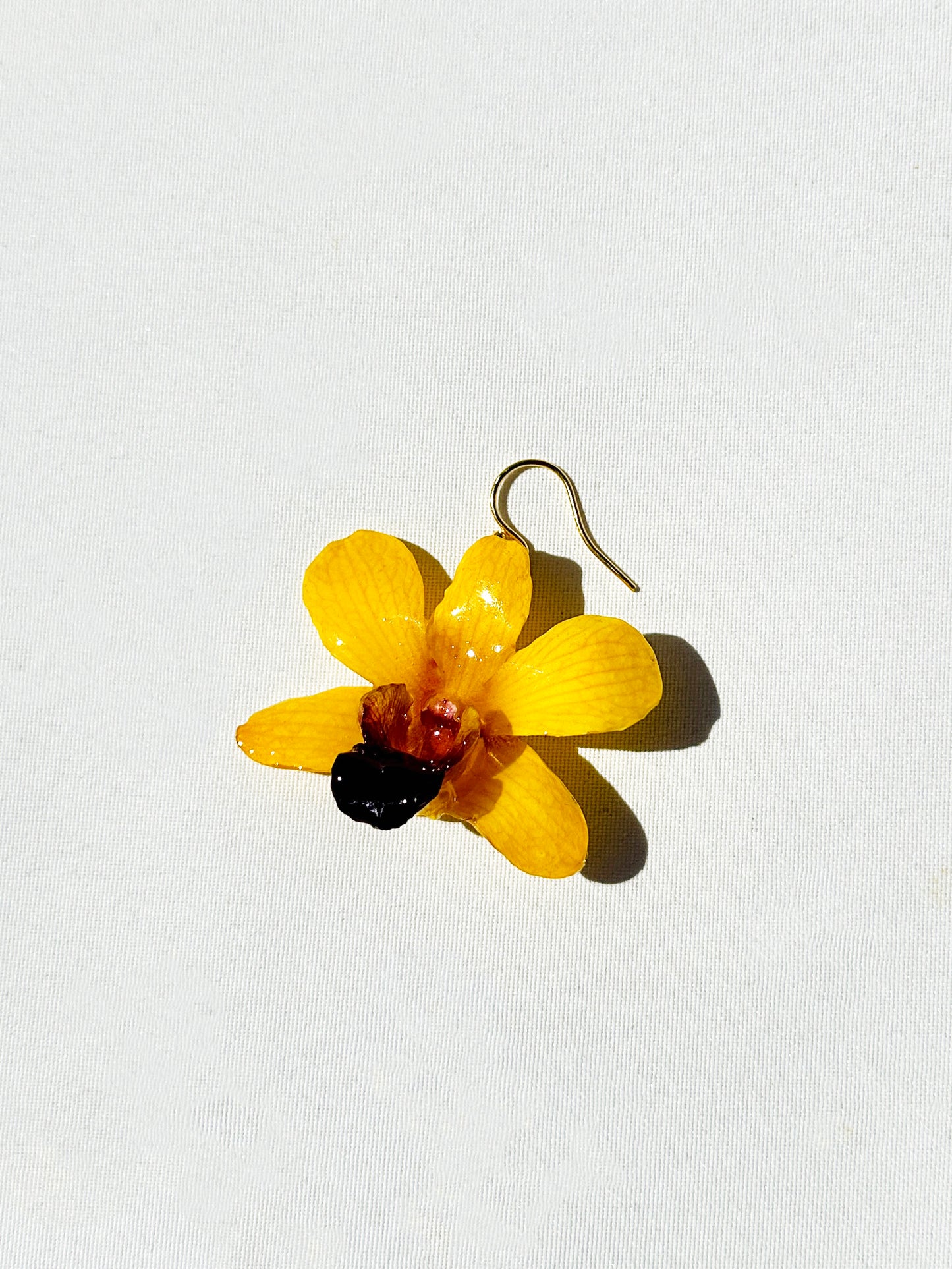 Sunshine Orchid (Single)