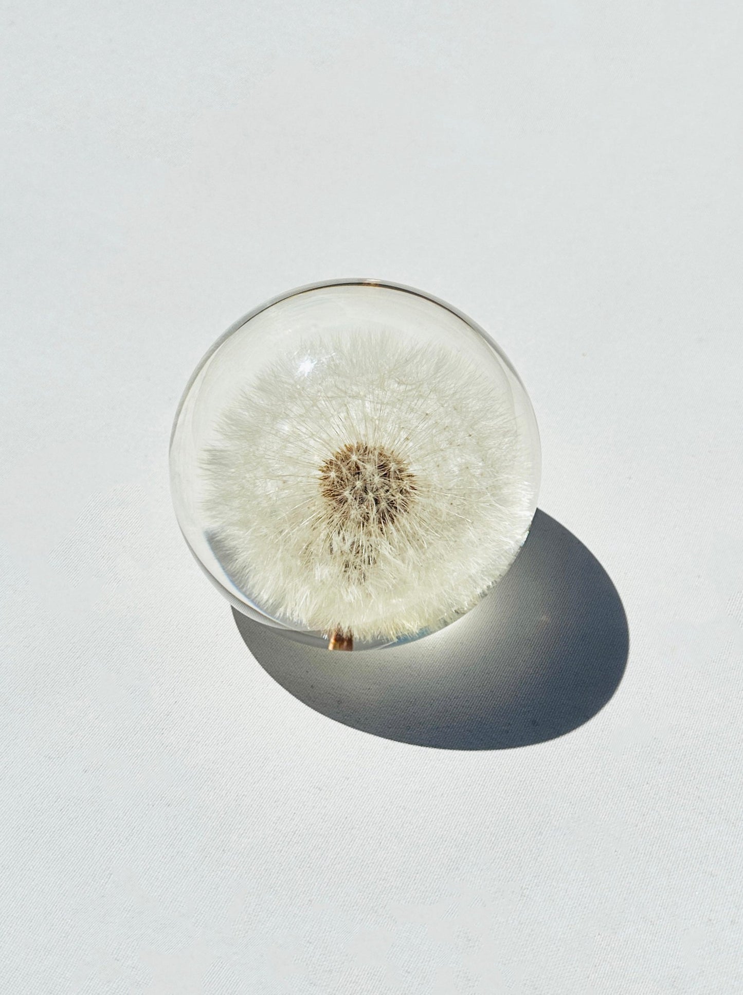 Dandelion Crystal