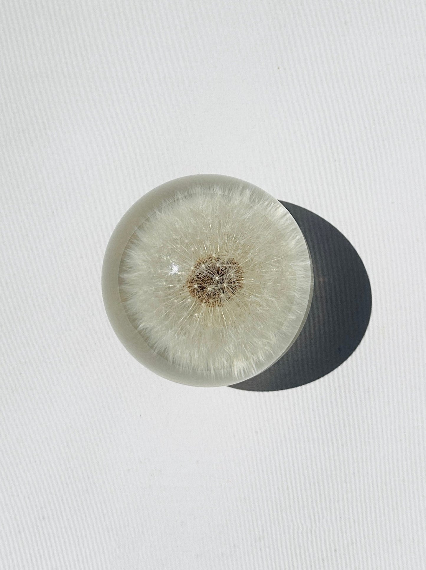 Dandelion Crystal