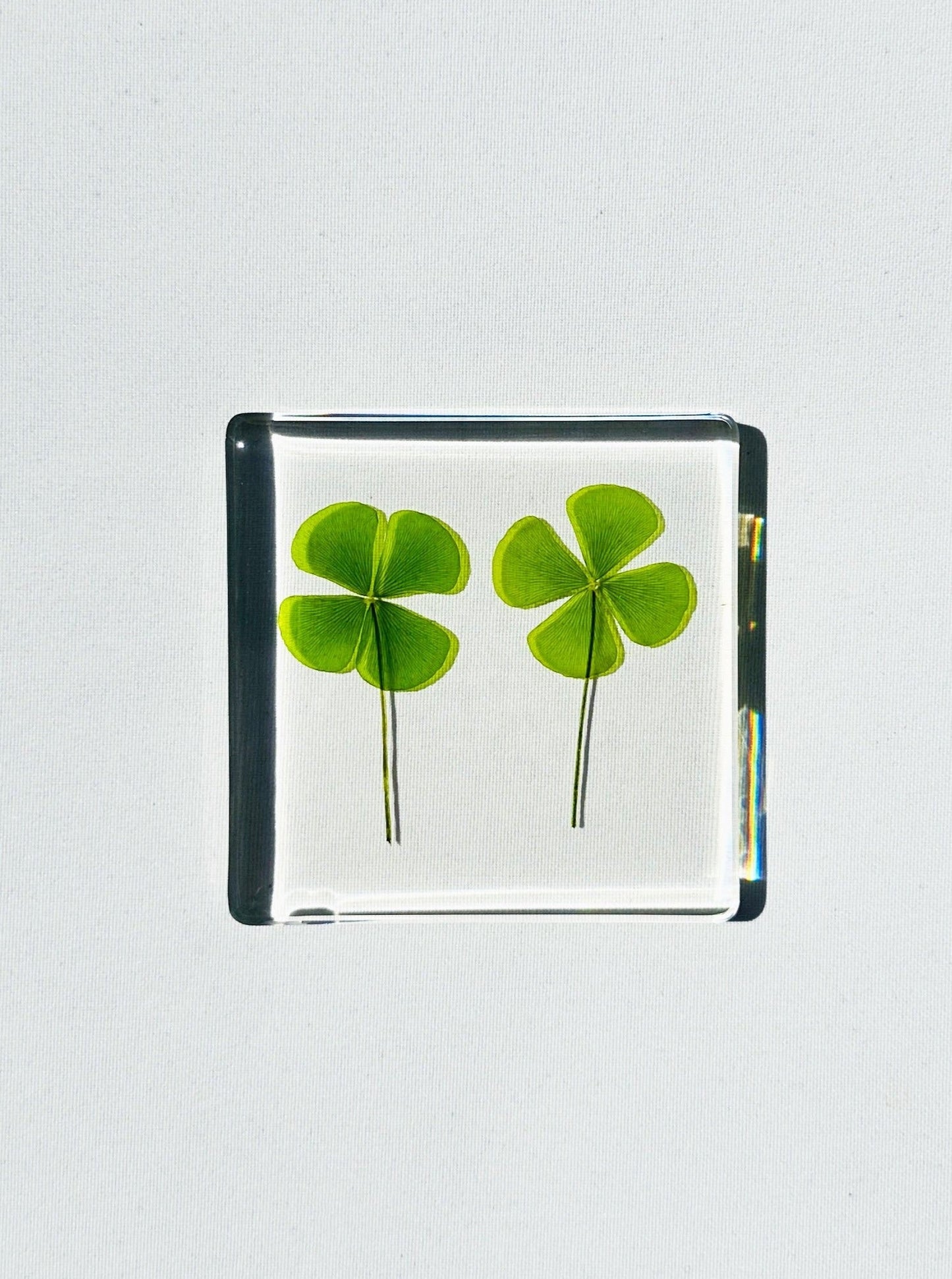 Four-Leaf Clover Crystal