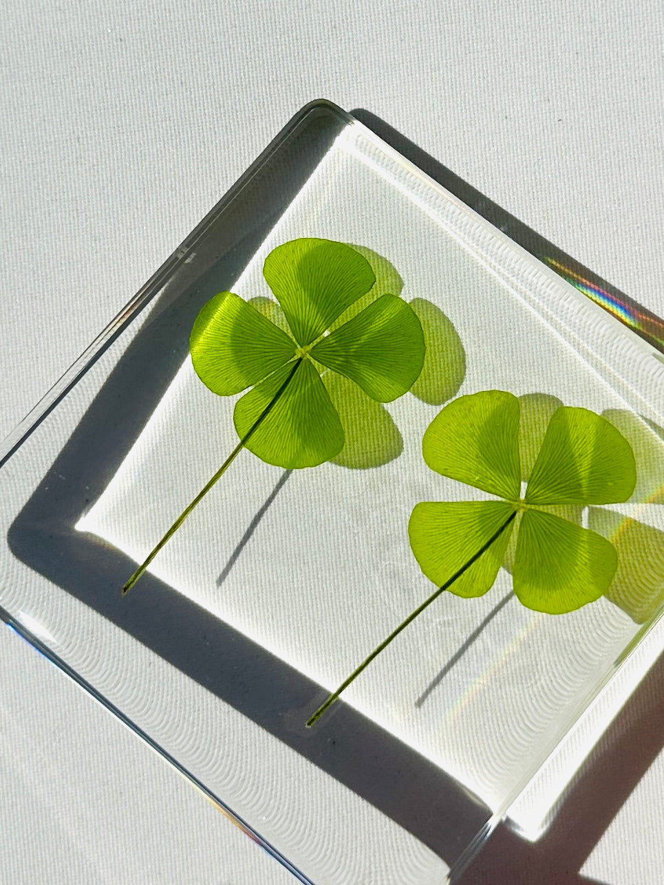 Four-Leaf Clover Crystal