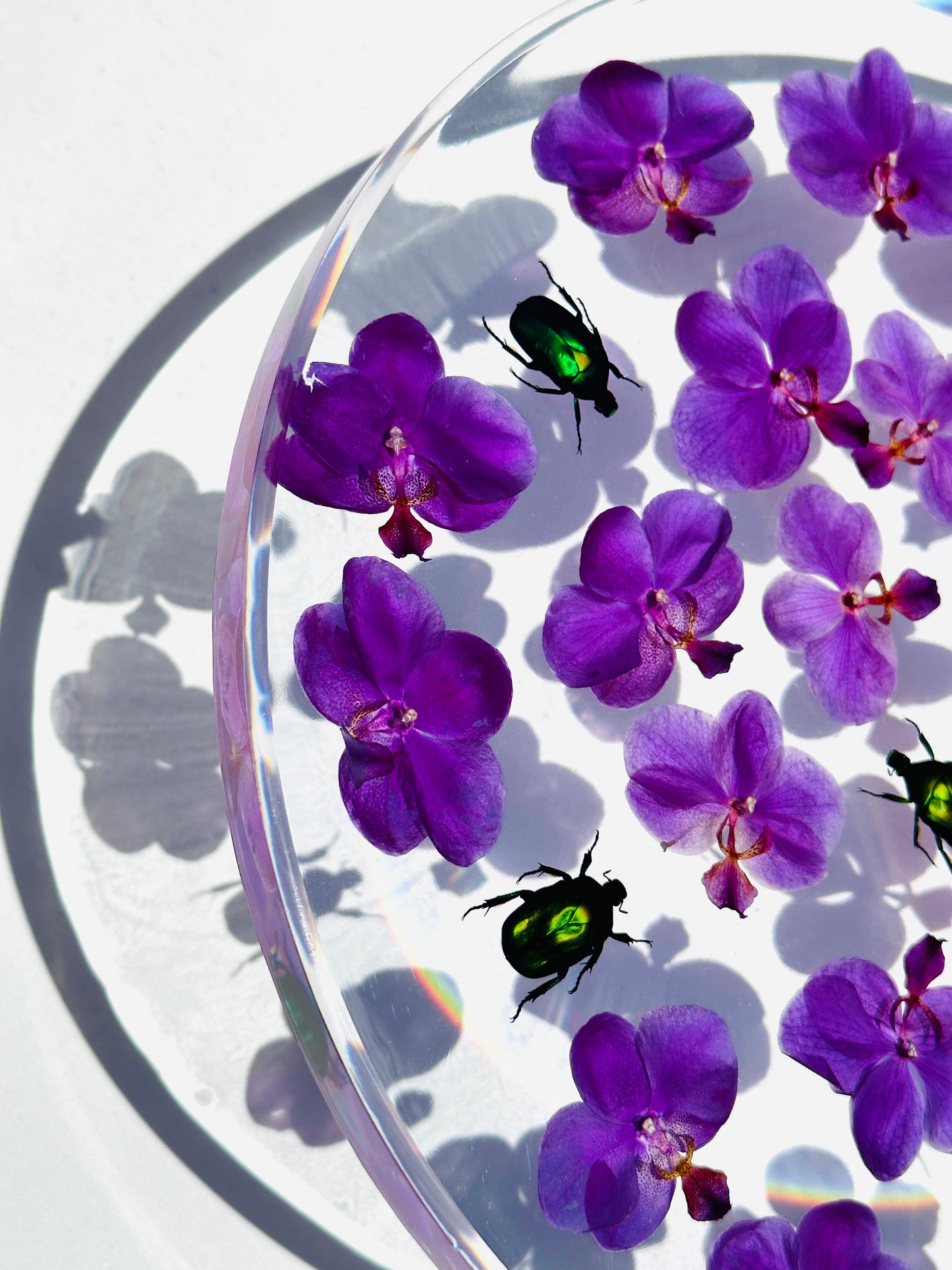 Orchids & Beetles Round Tray