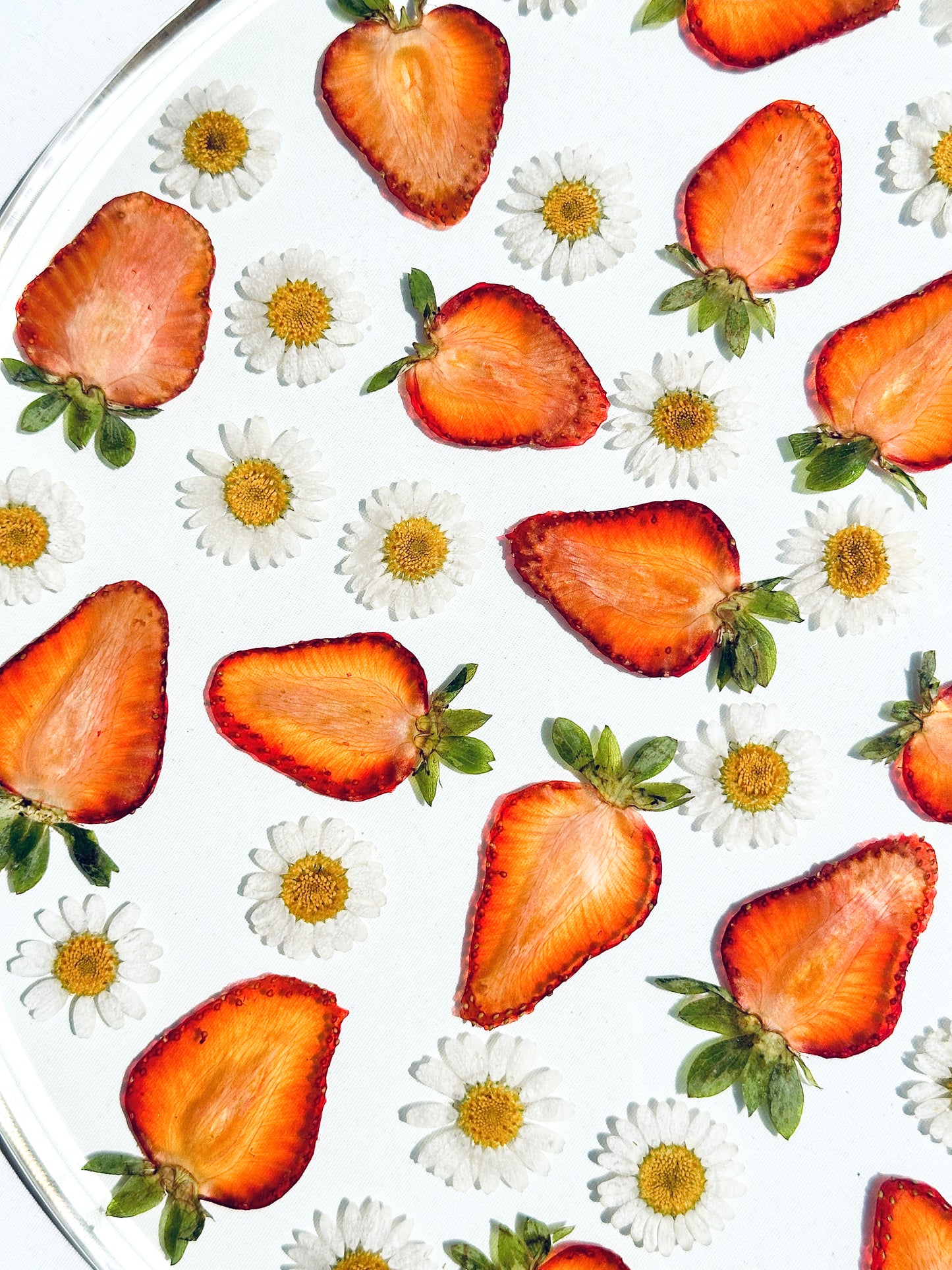 Strawberry & Daisy Round Tray