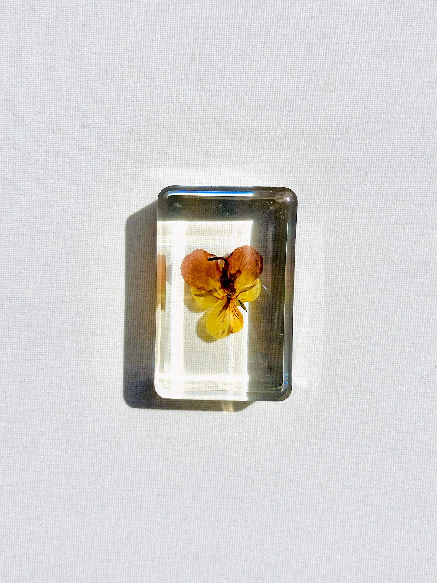 Mini Pansy Crystal