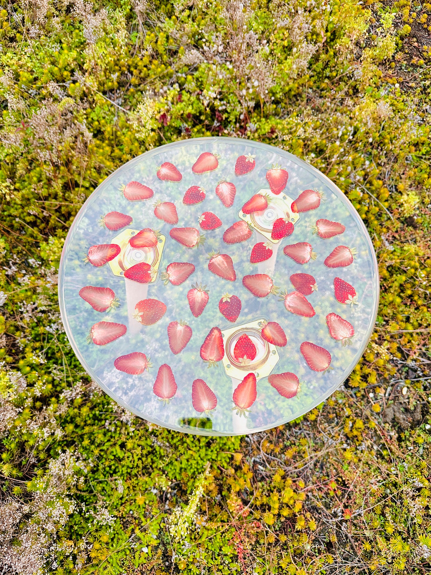 Strawberry Side Table