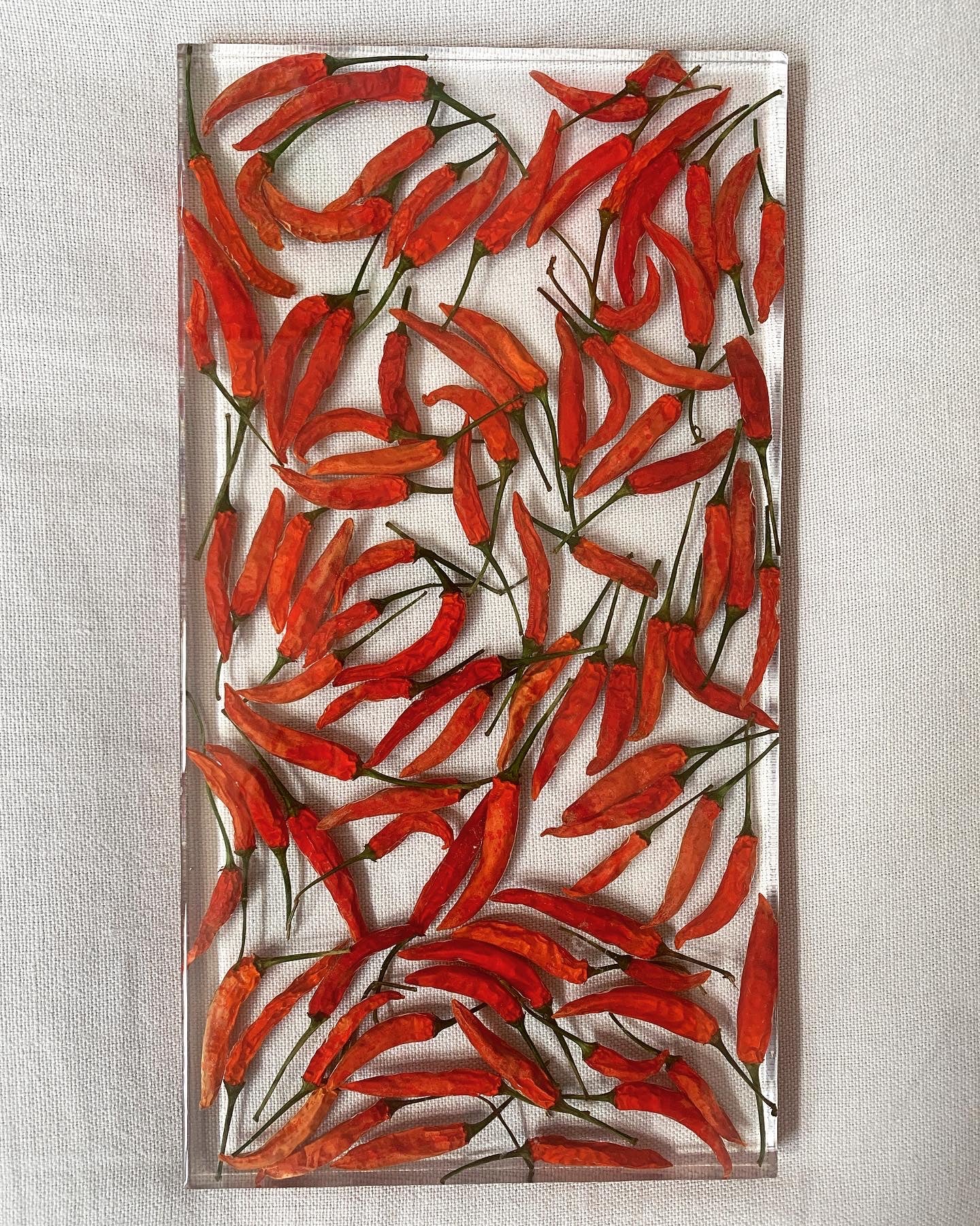 Dozens of peppers sit suspended in transparent resin. A durable-yet-whimsical addition to your home decor. Serve cocktails, use as a vanity tray, or simply display as an incredible objet d'art.