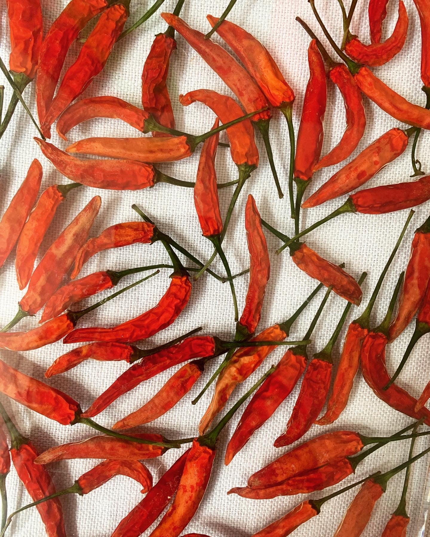 Dozens of peppers sit suspended in transparent resin. A durable-yet-whimsical addition to your home decor. Serve cocktails, use as a vanity tray, or simply display as an incredible objet d'art.