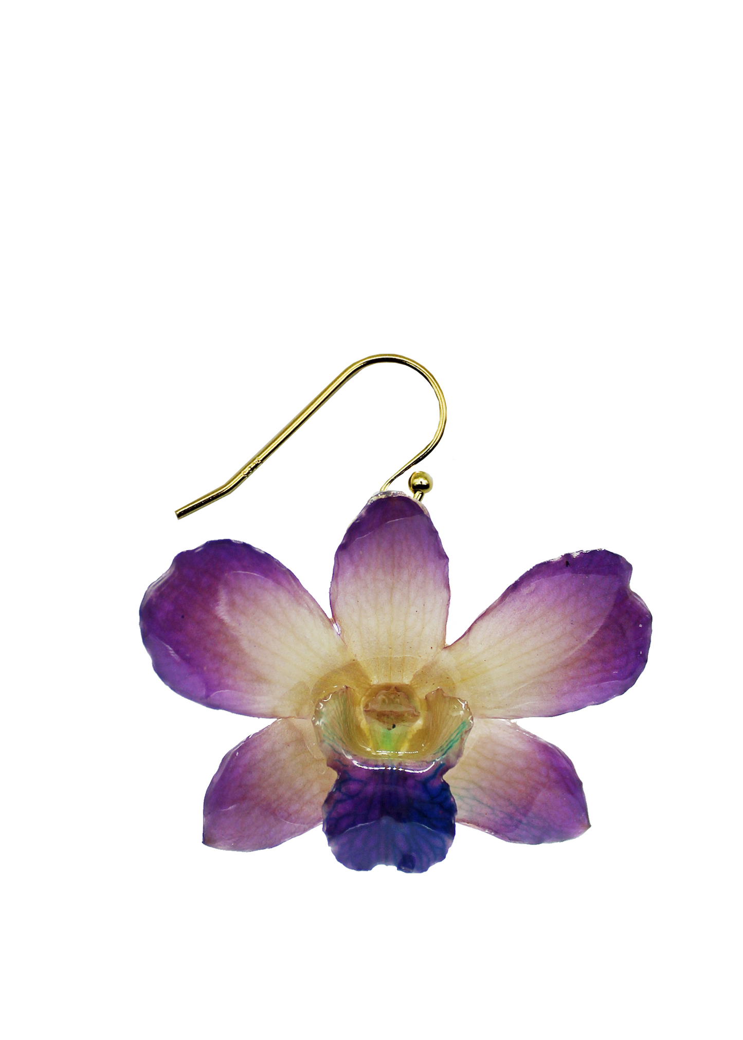 Violette Orchid (Single)